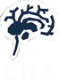 한양대학교 뇌영상분석 연구실 CNA 로고